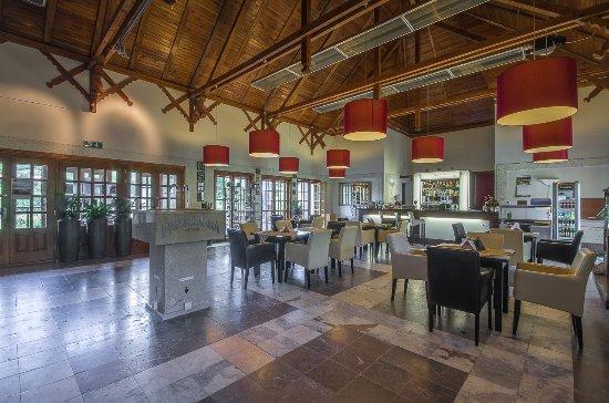 Pijalnia Artystyczna